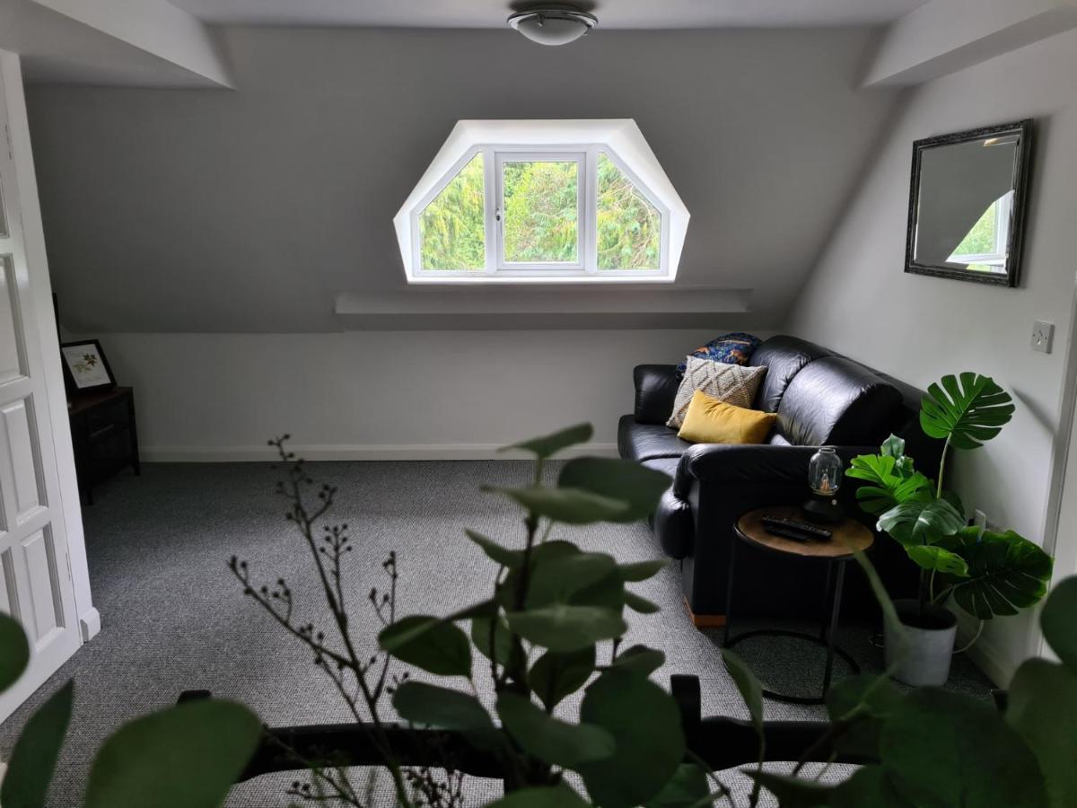 Hotel Park House Self-Contained Annex à Mold Extérieur photo